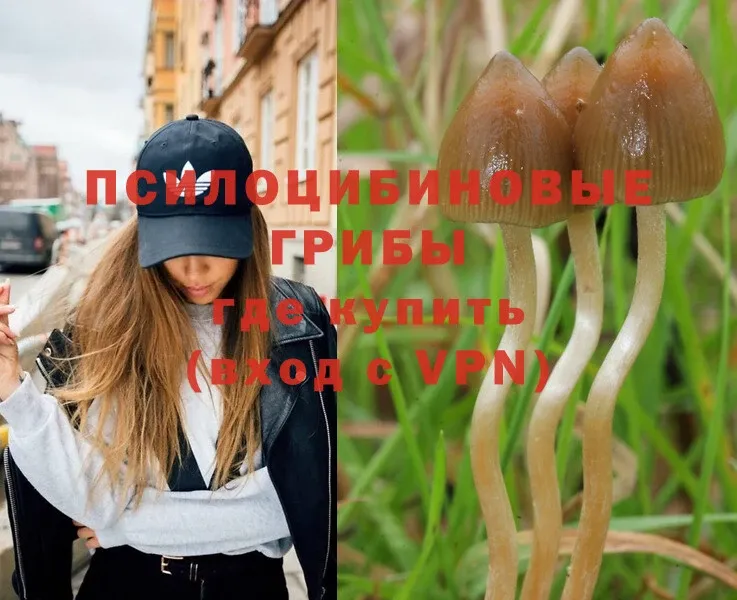 Галлюциногенные грибы Magic Shrooms  Исилькуль 